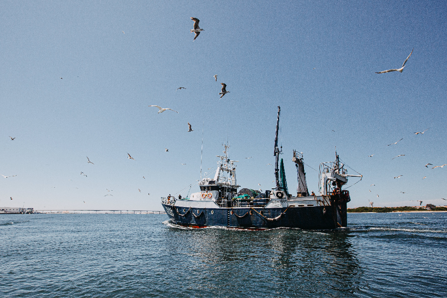 Port de Gafanha da Nazaré - Tourisme de Ilhavo