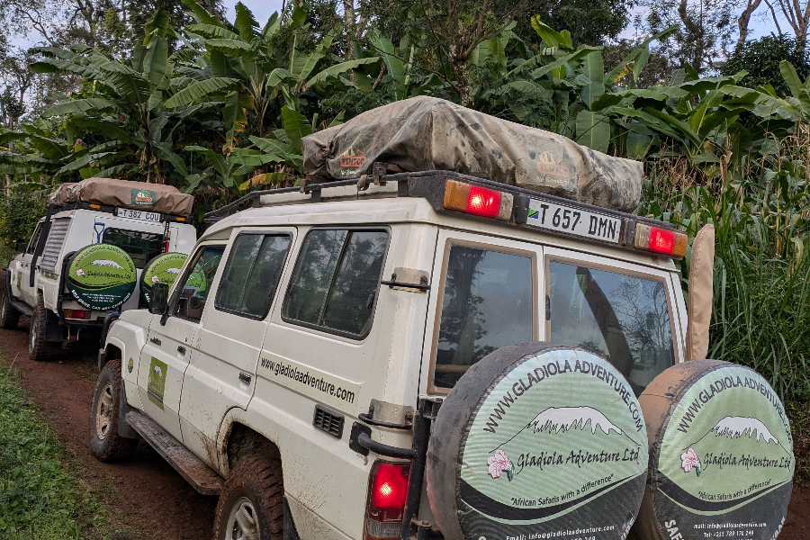 Tanzania Self-Drive & 4x4 Car Rental - Gladiola Adventure L.t.d