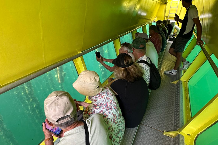 La vision sous-marine - SeteCroisières