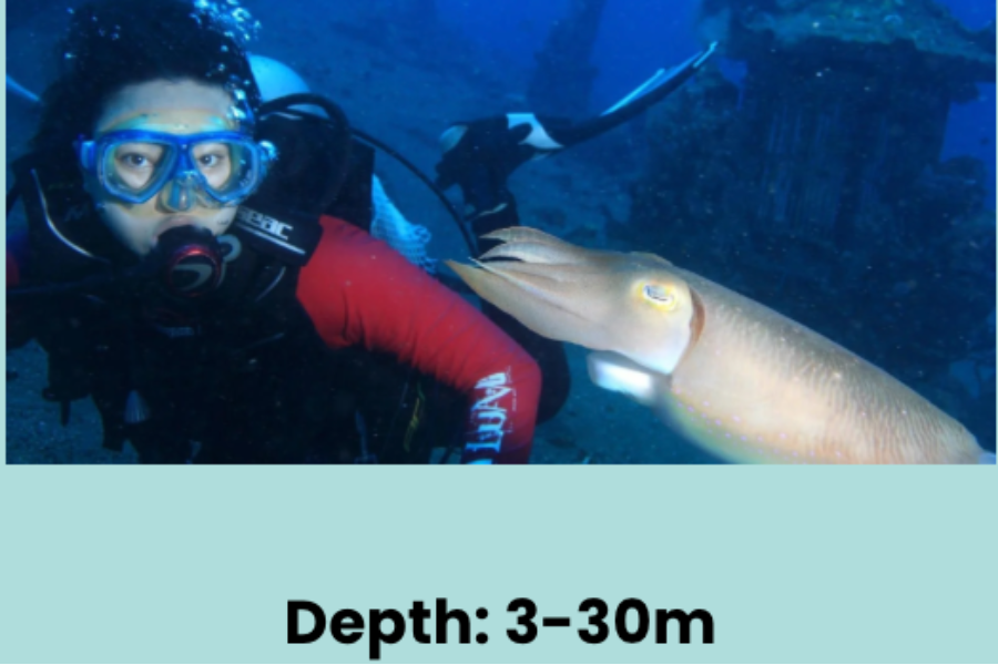 Coral Garden Drop Off - Coral Garden Drop Off