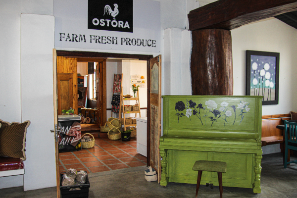 Ostora Deli and Meerkat Art gallery - copyright