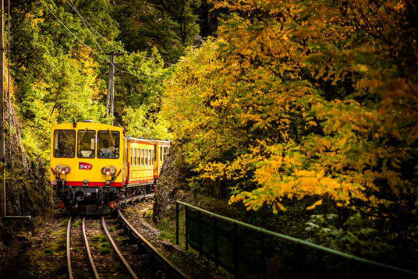 TRAIN JAUNE - TRAIN JAUNE