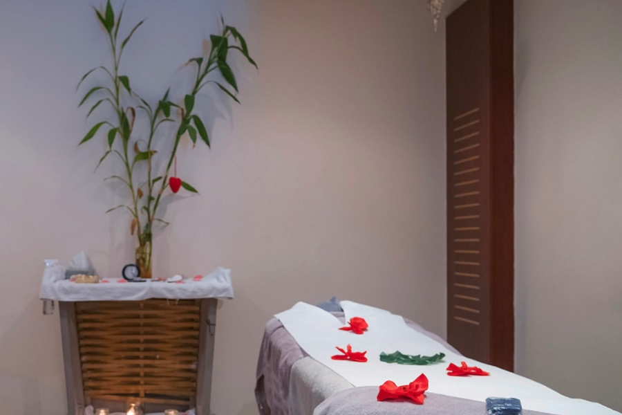 SPA - CARAYOU HOTEL ET SPA