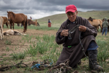 Horse Wrangler, Mongolia - Goyo Travel