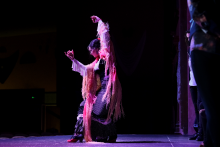 spectacle flamenco - El Palacio Andaluz