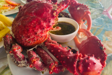 Un centollo (king crab) des Caraïbes,  fraichement pêché et cuisiné par la mama panaméenne (Colon, Isla Grande) - PANAMA AUTHENTIQUE, S.A.
