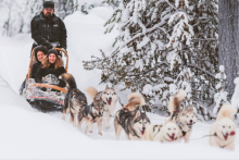 Husky dog sled - Visit Ylläs