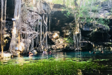 Cenote X-batun - M-Diving Mexico