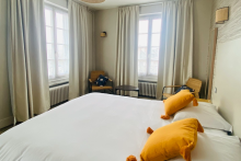 Chambre Premium - Hotel Marguerite - Orléans