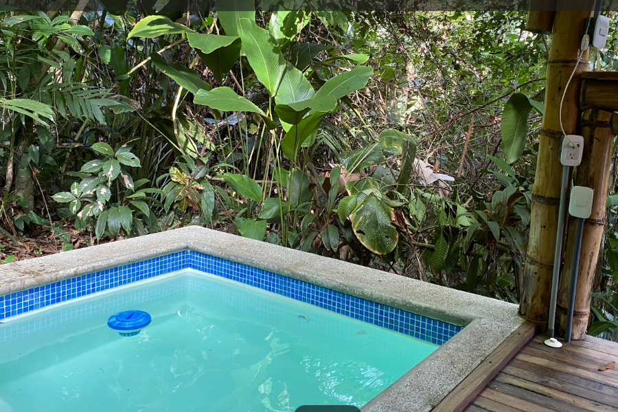 Hemingway pool - @colinasecreta