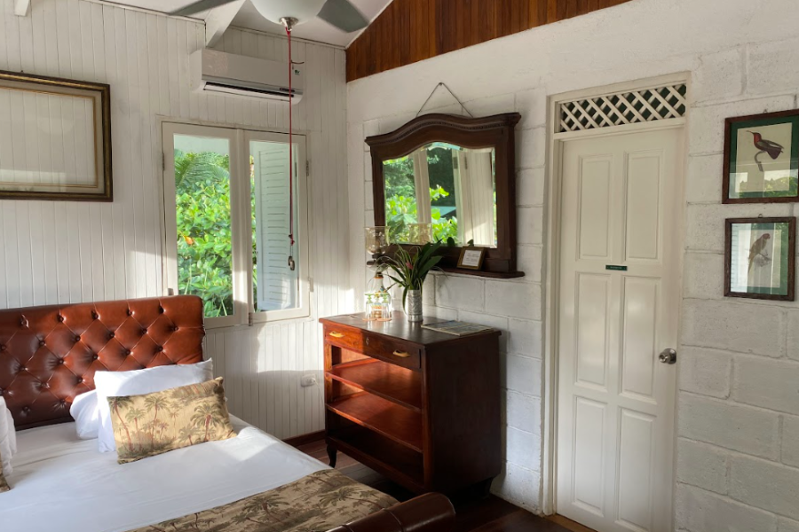 Birds room - @colinasecreta