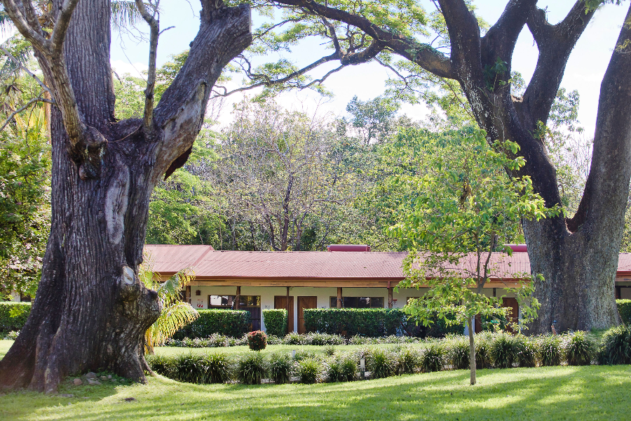 Chambres Supérieures - Hacienda Guachipelin