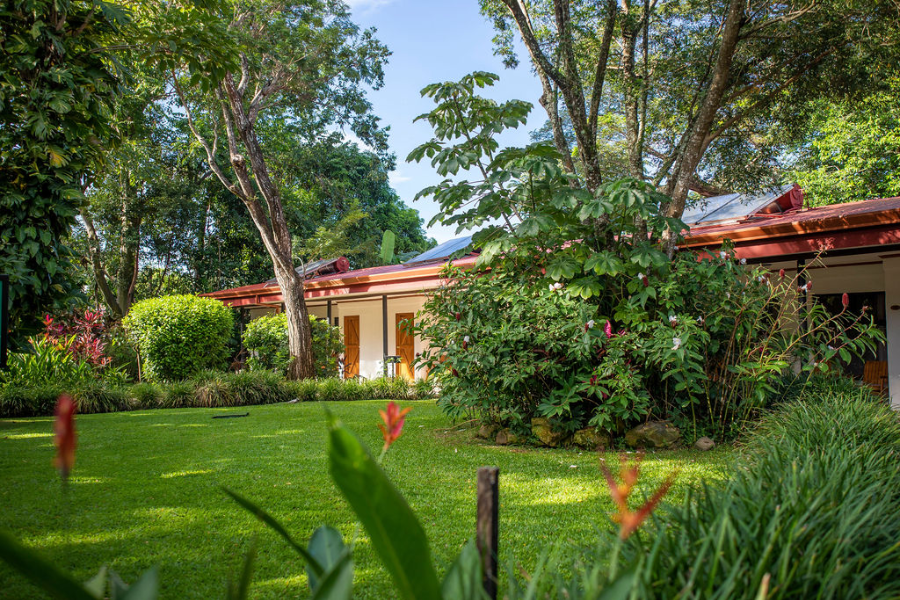 Chambres Supérieures Queen - Hacienda Guachipelin
