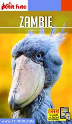 ZAMBIE -