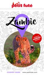 ZAMBIE - 