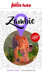 ZAMBIE -