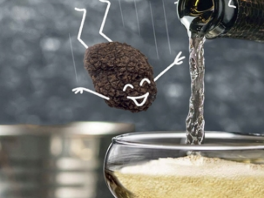 Truffes en Folies Décembre et Janvier à Sorges en Périgord - © Web Truffe association Ap2t