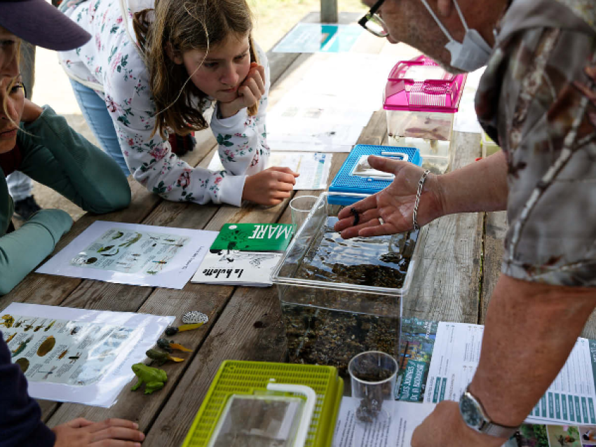 Les Journées de la Biodiversité - Gerhard Heinze