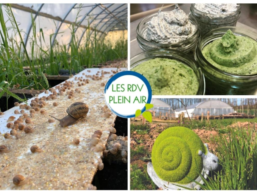 Visite au crépuscule des serres d’élevage de la ferme aux escargots - © Fécamp Tourisme