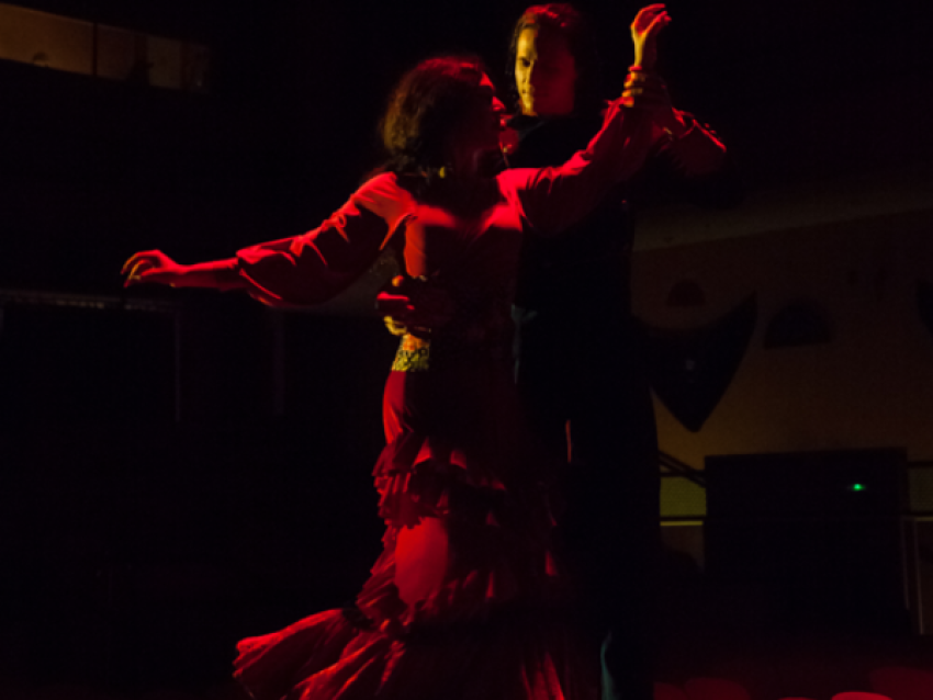 Intimate Flamenco - El Palacio Andaluz