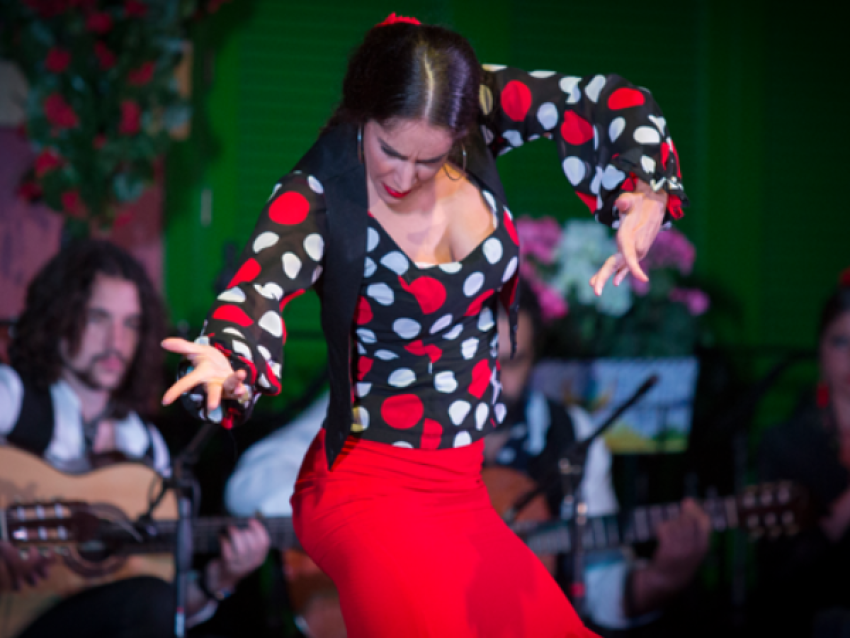 spectacle de flamenco - El Palacio Andaluz