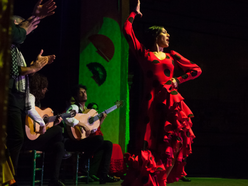 spectacle de flamenco - El Palacio Andaluz