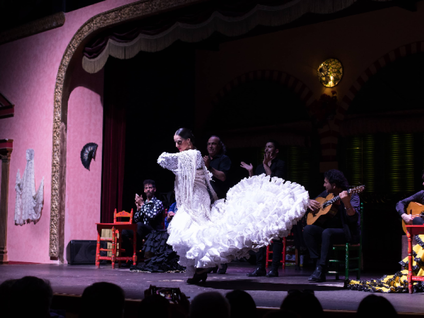 Le meilleur flamenco de Séville. - El Palacio Andaluz