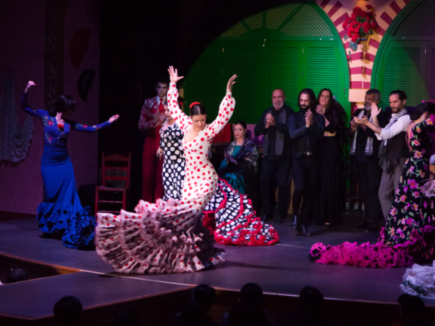 Spectacle de flamenco - El Palacio Andaluz