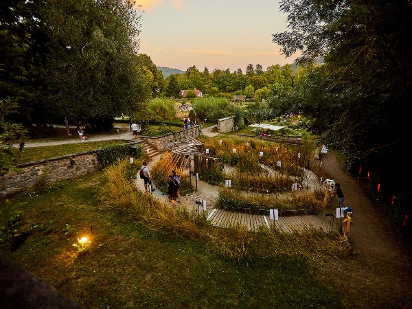 Festival des jardins métissés - © Steeve Josch