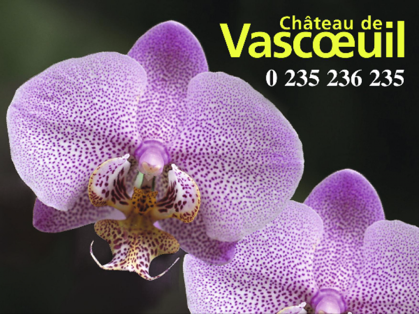Magie des Orchidées - Affiche - Château de Vascœuil