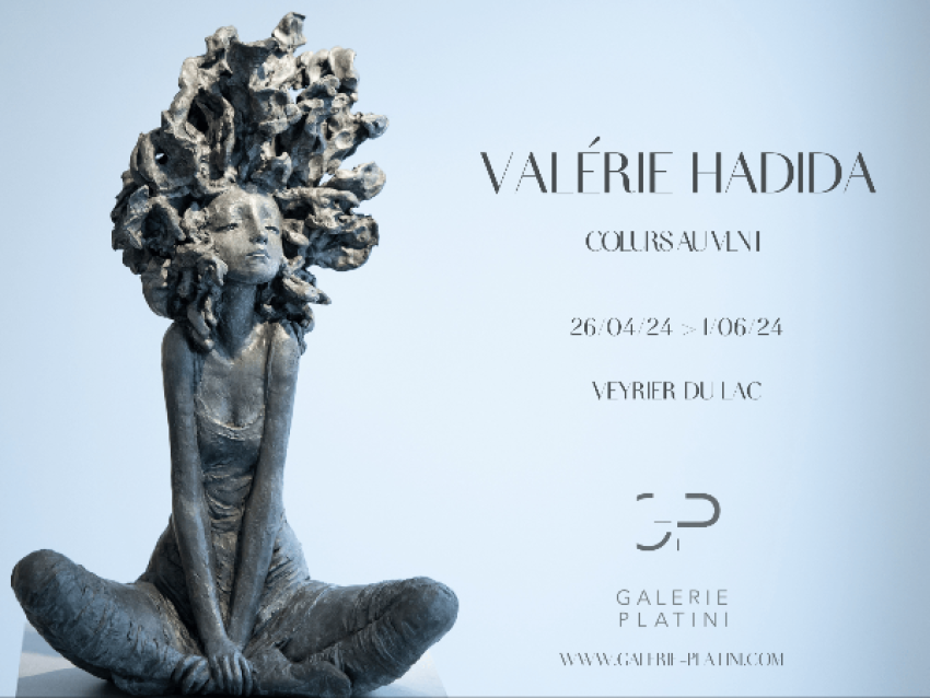 EXPOSITION ART CONTEMPORAIN  VALÉRIE HADIDA -