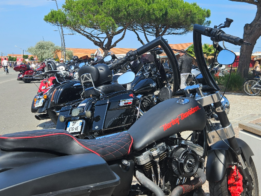 Show Bike