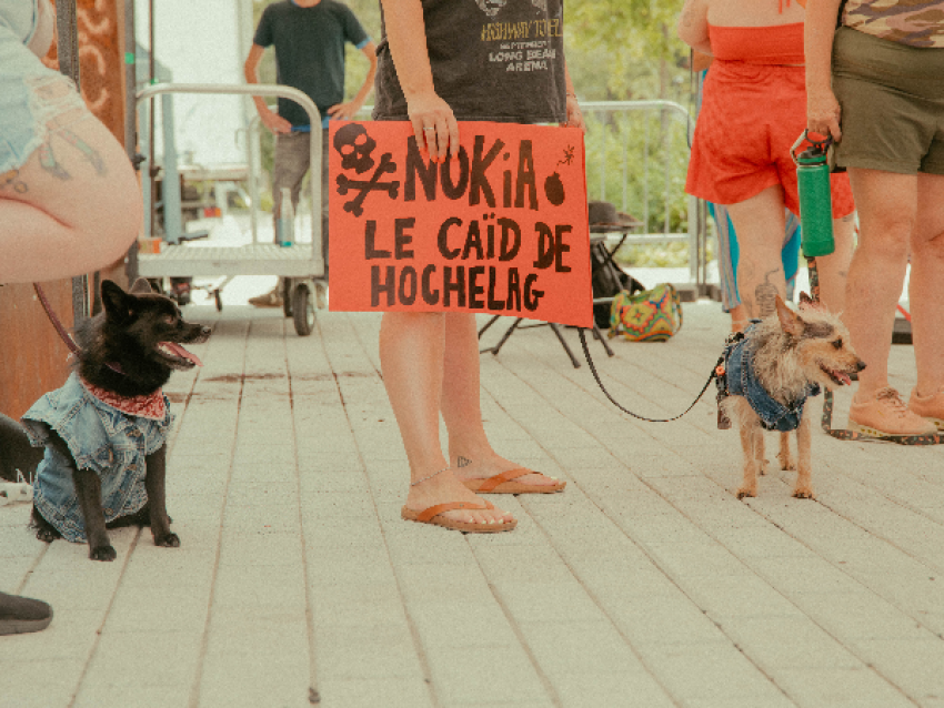Hoch'gala Canin - Camille Gladu-Drouin