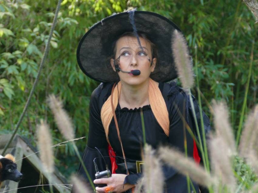 Zoolloween