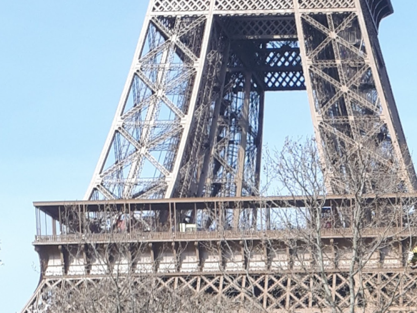 Promenade découverte du Champs de Mars : Initiation à la géobiologie