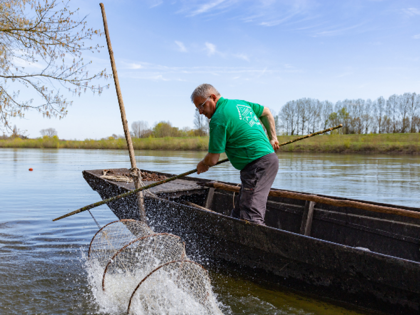 Conférence : Pêcher en Loire