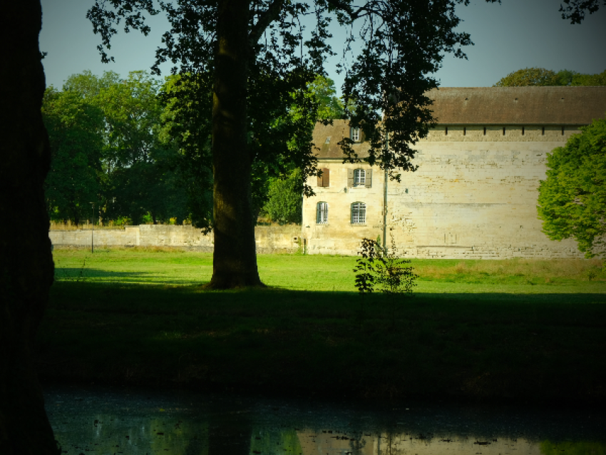 Sortie nature Du patrimoine historique au patrimoine naturel