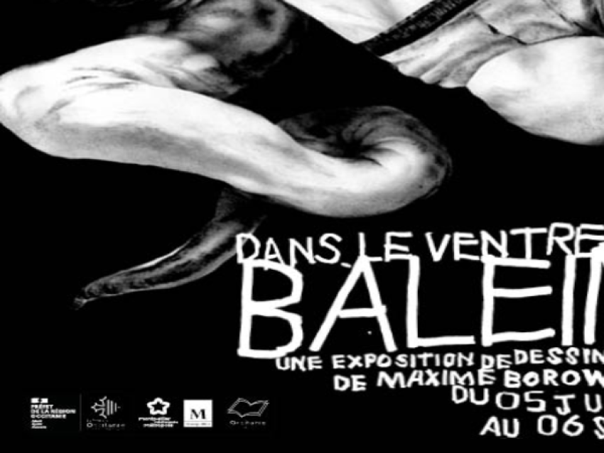 Dans le ventre de la baleine