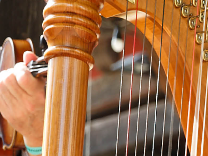 Le 15e Folk'Estival - Gerhard Heinze