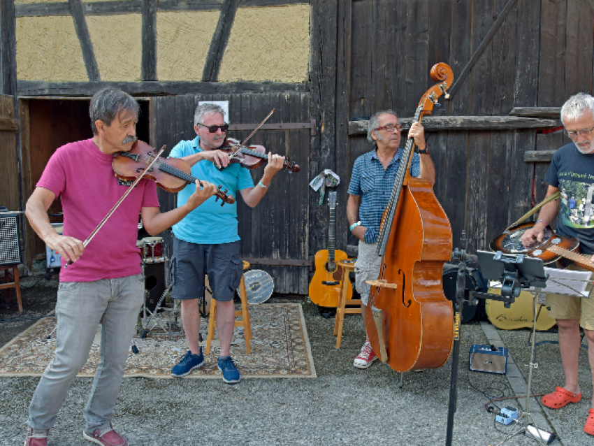 Le 15e Folk'Estival - Denis Sutter