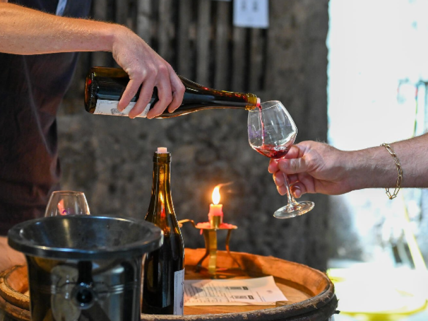 Vignobles en scène - Les vins du Couchois