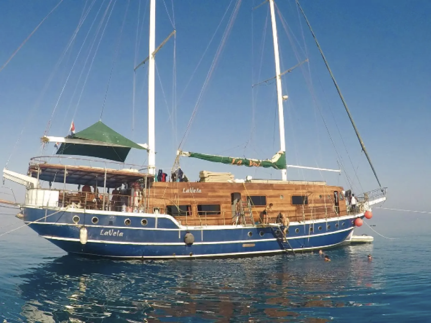 Escapade en Egypte à la rencontre des dauphins de Sataya