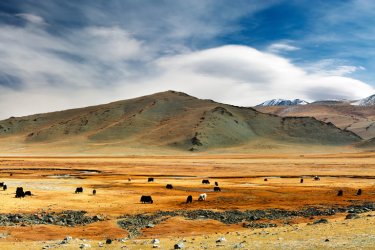guide de voyage, Mongolie - Dmitry Pichugin Shutterstock.com