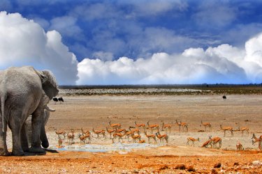 guide de voyage, Namibie - paula french Shutterstock.com