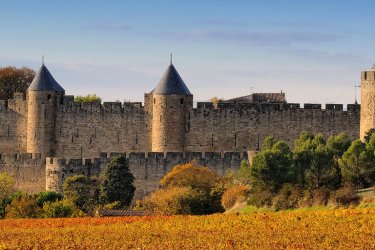 guide de voyage, Aude : La cité de Carcassonne et son vignoble - Pat on stock Fotolia