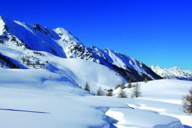 Guía de viaje, Hautes-Alpes : Raquettes aux Orres - Dahu Fotolia