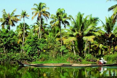 guide de voyage, Kerala : Paysage près d'Alleppey - TMAX - Fotolia