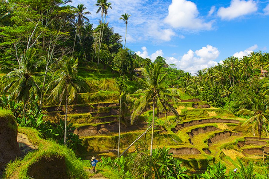 Ubud