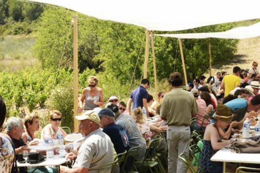 Repas champêtre dans le vignoble