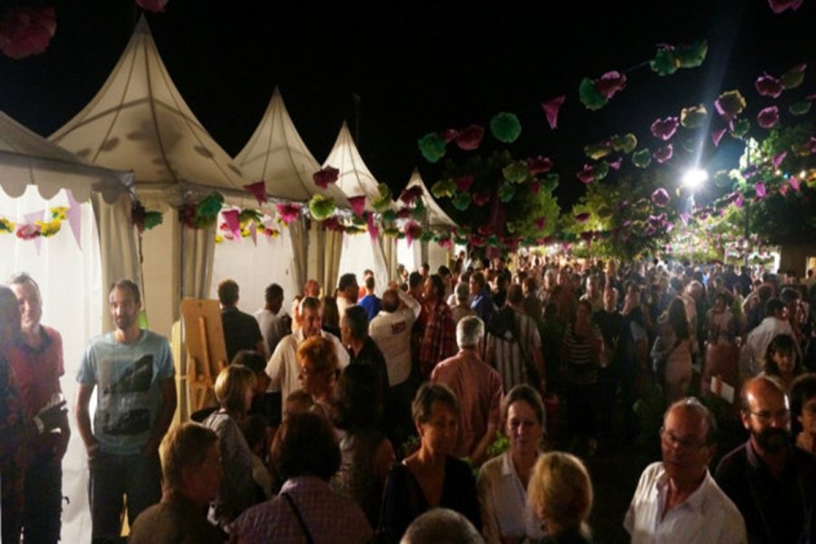 Piscine de vin et dégustation à Festivino